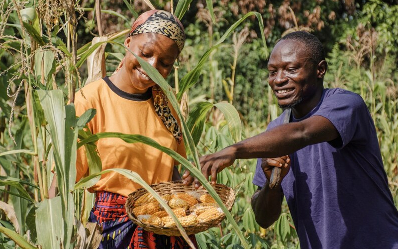 Partnering with farmers